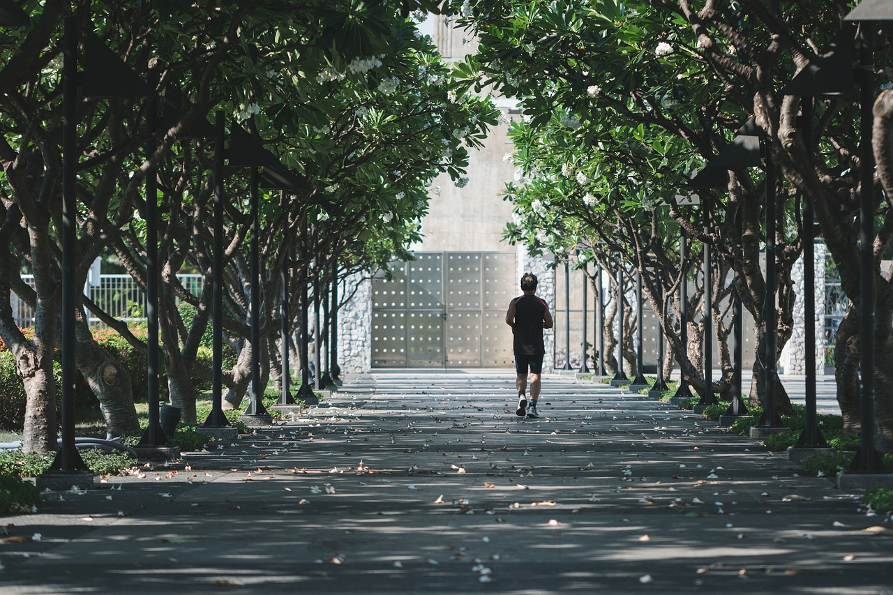 entdecken sie die welt des fitness mit effektiven trainingsprogrammen, gesunden ernährungsrichtlinien und wertvollen tipps, um ihre ziele zu erreichen und einen aktiven lebensstil zu pflegen.