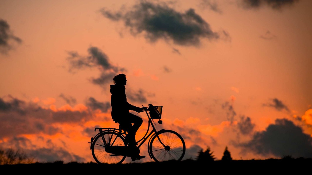 entdecken sie die besten tipps und tricks für fitness und gesundheit. erfahren sie, wie sie ihre ziele erreichen, motivation finden und einen aktiven lebensstil pflegen können. beginnen sie ihre reise zu einem fitteren ich!