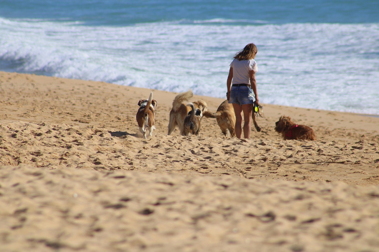 entdecken sie ihre neue pelzige familie! unser pet adoption service bietet ihnen die möglichkeit, liebevolle haustiere aus dem tierheim zu adoptieren. geben sie einem vierbeiner ein zuhause und erleben sie die freude der gemeinsamen abenteuer.